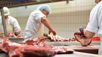 workplace food industry - factory butchery for the production of sausages - butcher cuts meat