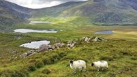 Kerry's world-famous Conor Pass for sale for €10m
