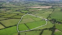 63-acre Meath farm expecting €14k/acre at auction