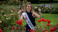 Mayor says 'not a hope in the world' Rose of Tralee festival would survive outside Kerry