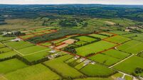 Active bidding on 51-acre farm in North Cork