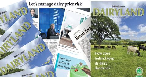 Flick through our 32-page Dairyland e-paper for insights on Ireland's No1 agri-food sector
