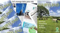 Flick through our 32-page Dairyland e-paper for insights on Ireland's No1 agri-food sector