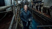 Women will play more prominent role in the future of Irish dairy