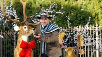 Festive Franc's Christmas décor collection goes up for auction