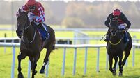 Imagine makes good first impression over fences at Fairyhouse