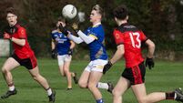 Mac an tSaoi on fire as Hammies put the squeeze on Bishopstown