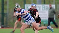 Harty Cup: Remaining knockout berths up for grabs 