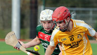 Marksman Dunne leads Charleville into Harty Cup knockout stages 