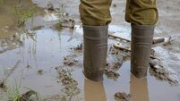 Muddy reflections, a farmer stands in rubber boots in a flooded cornfield.