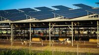 Solar panels agriculture farm roof