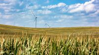Nebraska corn fields with wind turbines