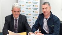 Donegal farmer elected chairman of IFA sheep committee