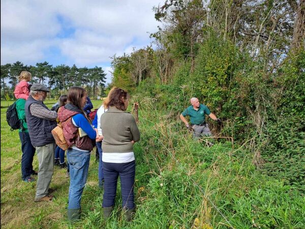 Learning how to create and look after a hedgerow with Eamonn McLoughlin in Celbridge. Pictures: Hedgerows Ireland