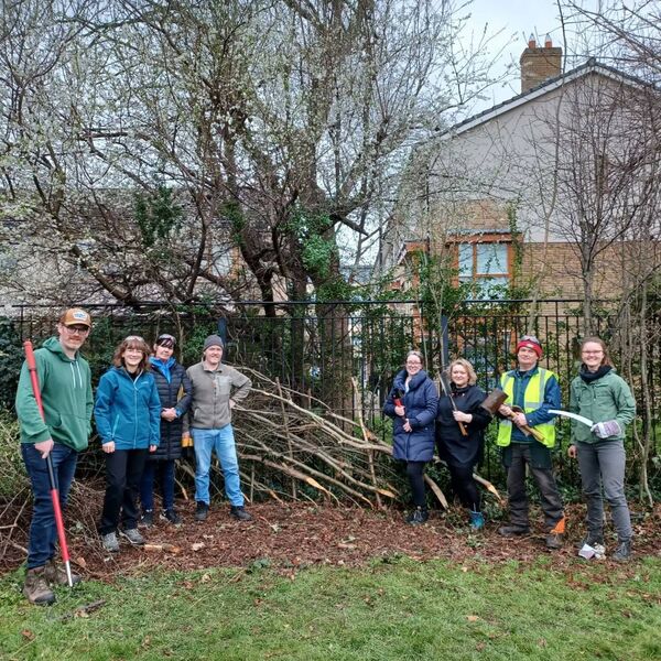 Hedge laying training day in Ranelagh. 2023