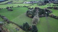 69-acre farm near Macroom bypass guiding at €700k