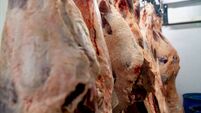 Close up shot of raw meat hanging on hooks at a slaughterhouse