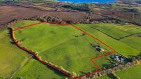 40-acre Westmeath farm up for pre-Christmas auction