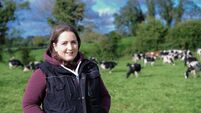 Westmeath farmer is the latest to join Lakeland board 