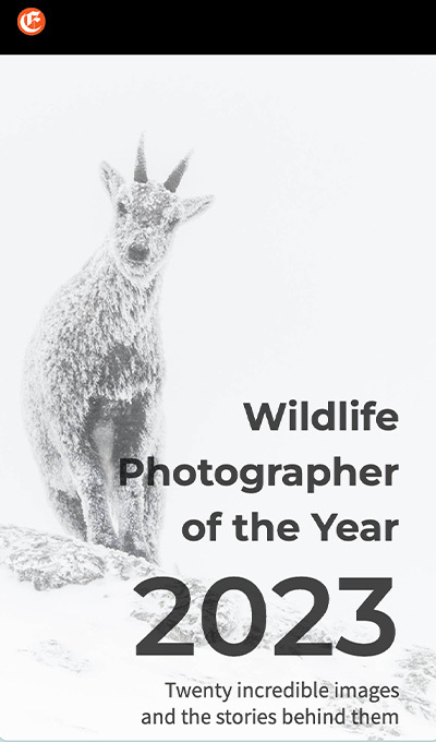 Wildlife Photography Awards