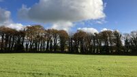 Quality 23-acre North Cork holding seeks €12k an acre