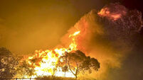 Dozens evacuated as Australian wildfire burns out of control