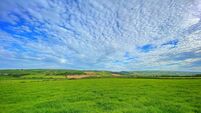 Typical Irish countryside of green grassy fields West Cork Ireland
