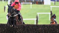Klassical Dream dazzles on chasing debut at Thurles