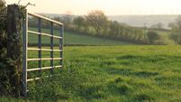 A open farm gate in rural Wales