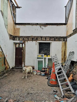 Ozzie the dog takes in the demolished house, open to the skies