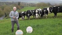 The Baileys ladies: The Wicklow farm helping to produce one of the most loved Christmas beverages