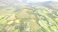 40-acre hill farm in West Cork's Borlin Valley to prove alluring for some