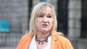 <p>Imelda Munster was first elected to the Dáil in 2016 and topped the poll in the constituency in 2020. Prior to that, she had spent 12 years on Louth County Council. File picture: Sam Boal / RollingNews.ie</p>