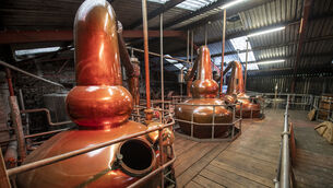 <p>The distillery, which produces Dingle Gin as well as whiskey and vodka, had been given the go-ahead by Kerry County Council to almost double its size two years ago. Photo: Domnick Walsh © Eye Focus</p>