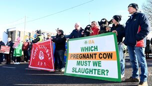 <p>Farmers from around Munster and beyond gathered in Carrigaline on Friday morning. Picture: Larry Cummins</p>