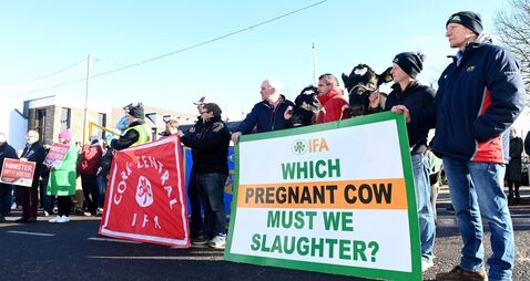 Farmers protest in Cork as they seek flexibility only weeks before new nitrates rules