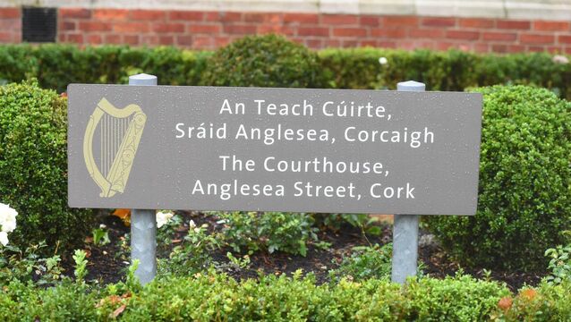 <p>Ange Munane of Castlepark, Ballincollig, Co Cork, pleaded guilty to a money-laundering offence.</p>