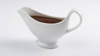 Close-up of a china gravy boat with a white background