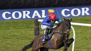 <p>GENIUS AT WORK: Monbeg Genius ticks plenty boxes for Saturday's Coral Gold Cup. 	Picture: Alan Crowhurst/Getty Images</p>