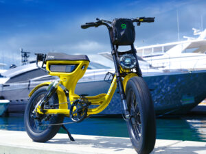 E-Bike