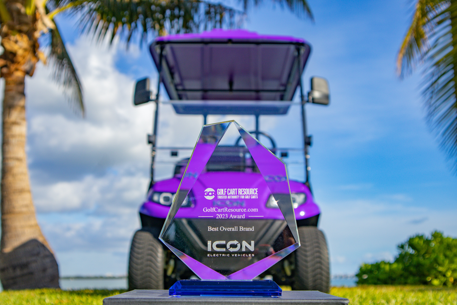 Golf Carts for Sale