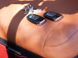 Pure EV Golf Carts for Sale 