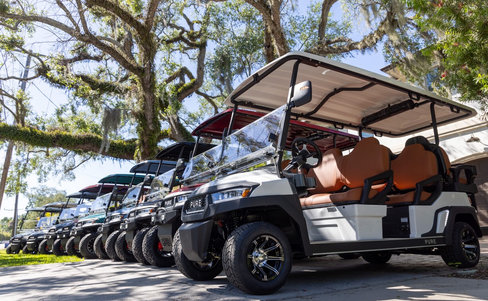Pure EV Golf Carts for Sale 