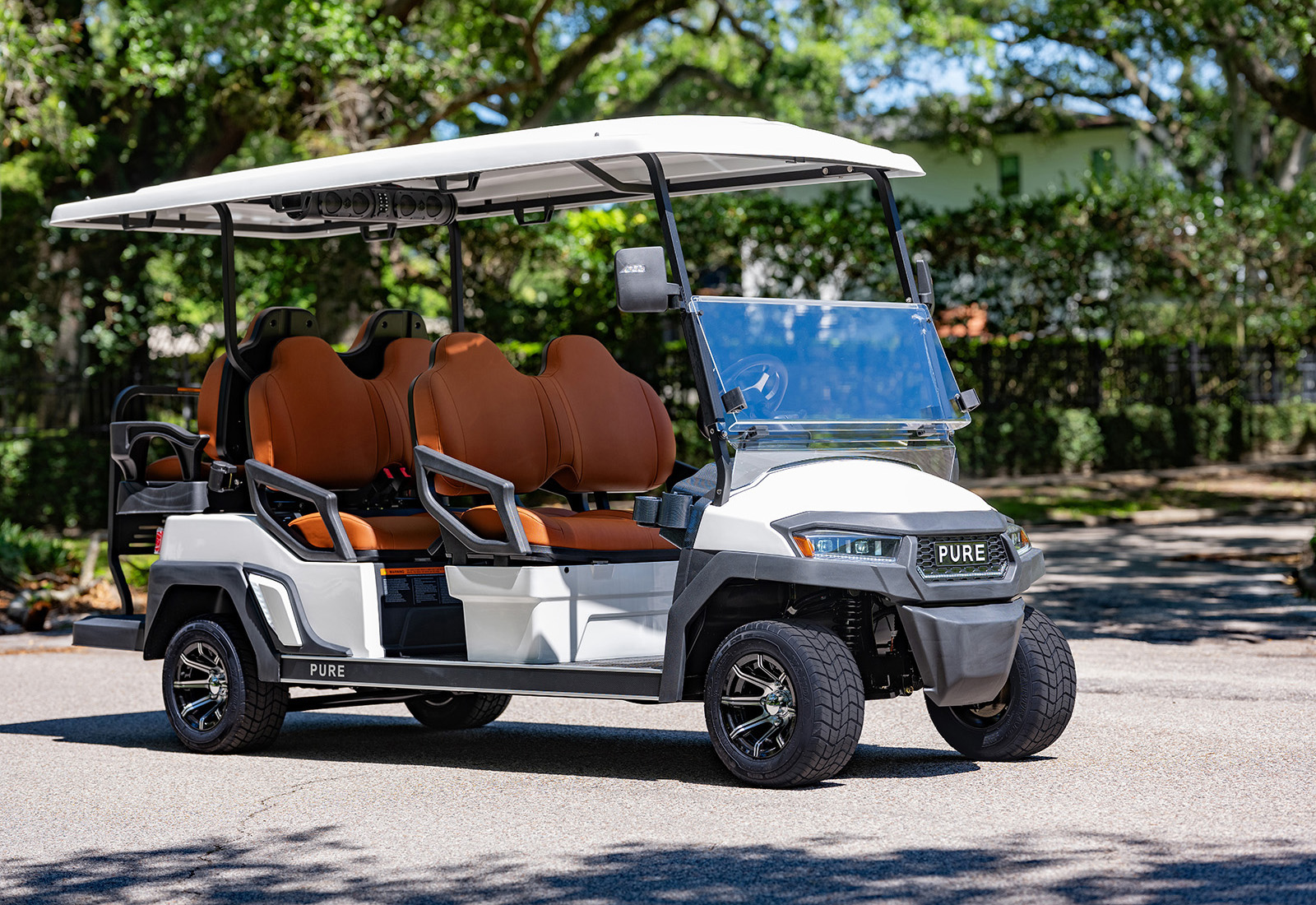 PURE-Golf-Cart-P60-14