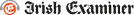 Logo IE